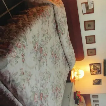 Morelli Homestay Livorno
