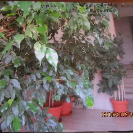 Morelli Homestay Livorno